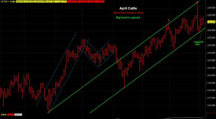 April cattle chart in upward mode
