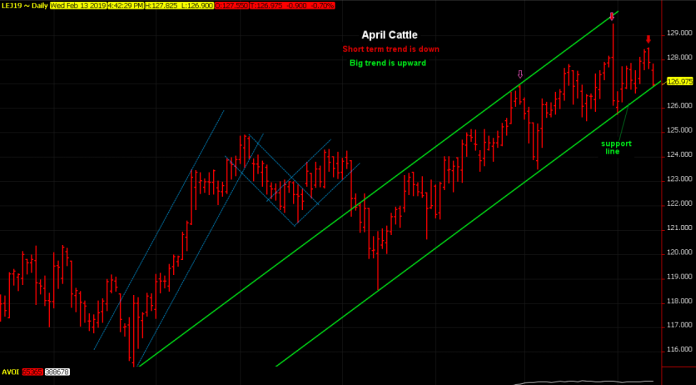 Cattle tumbled to support line, stay tuned