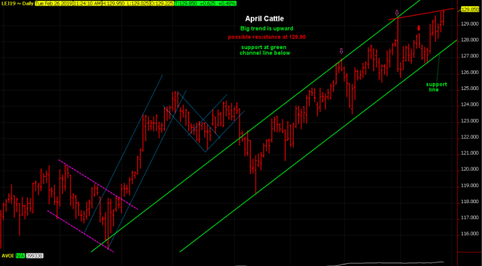 April cattle trend is up, buy any hard set-backs