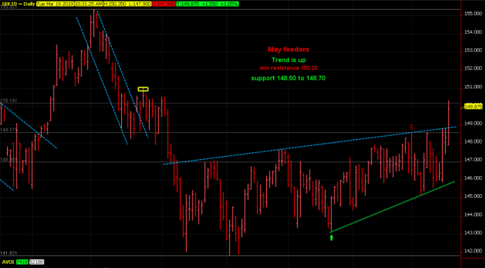 Feeder cattle trend is up, buy hard breaks