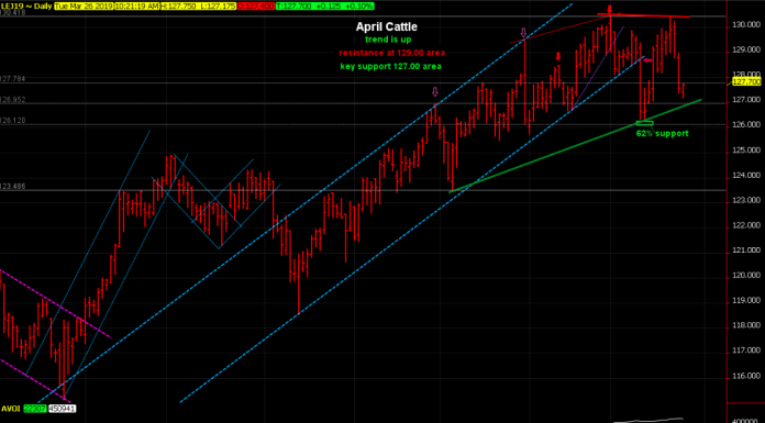 Cattle main trend is upward, support is close