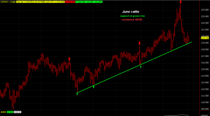 Cattle bears might want to cover soon