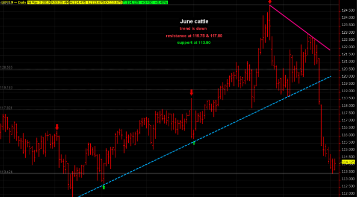 Cattle crash may be weaning, bears should tighten stops
