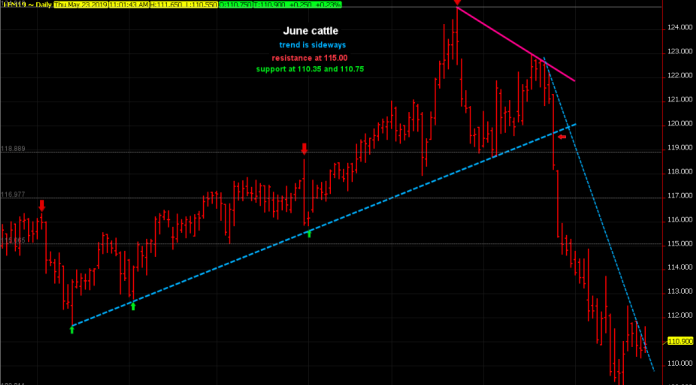 Downward direction in cattle may be losing momentum