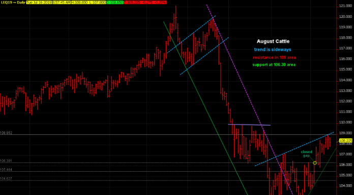 Cattle continues bottom building, bulls take their time