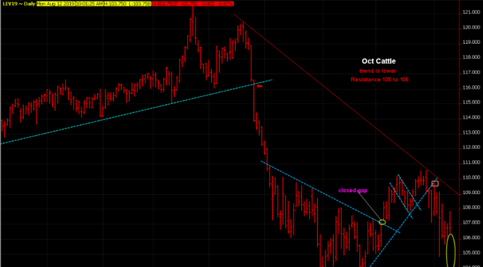 Cattle locked limit down, sell any rally toward resistance